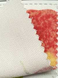 SP2650 Fruits Garden 牛津 (整卷)[面料] Cosmo Textile 其他图片