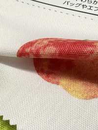SP2650 Fruits Garden 牛津 (整卷)[面料] Cosmo Textile 其他图片