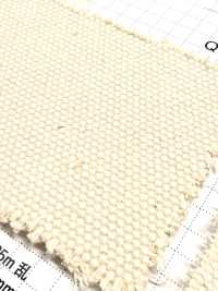 FKB01 富士金梅 棉1号帆布 坯布[面料] 富士金梅 其他图片