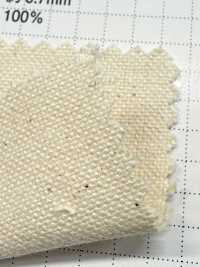 FKB11 富士金梅 棉11号帆布 坯布[面料] 富士金梅 其他图片