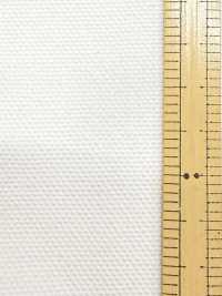 P1314 富士金梅 棉6号帆布 印花用加工品[面料] 富士金梅 其他图片