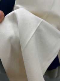 BD7252 法国工人哔叽PTJ 推荐货号[面料] Cosmo Textile 更多图片