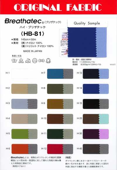 HB-81 哈伊·布里扎泰克