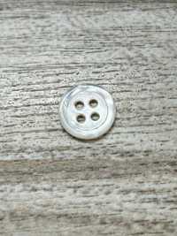 SW17-OUTLET 贝壳纽扣- 白蝶贝 IRIS纽扣 更多图片