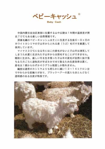 5746 Fukaki 毛呢日本制造婴儿现款羊绒面料 FUKAKI 更多图片