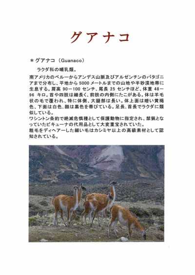 1676 日本制造的深木羊毛原驼毛混纺羊绒面料 FUKAKI 更多图片