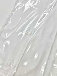 ST-103 翼领伊豆衬衫[正装配饰] 山本（EXCY） 更多图片