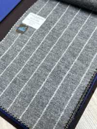 55CN5508 CANONICO 平纹精纺法兰绒浅灰色粉笔条纹[面料] 佳能 更多图片