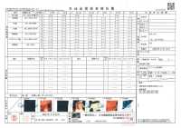 TPT1002 Iwami Kagura 印花里料重复图案 更多图片