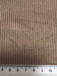 CD5501-BE 经典款 日本产 8W 灯芯绒 纯色 米色[面料] 其他图片