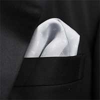 CF-202 手工印刷的 6 色口袋方巾佩斯利圆点[正装配饰] 山本（EXCY） 更多图片
